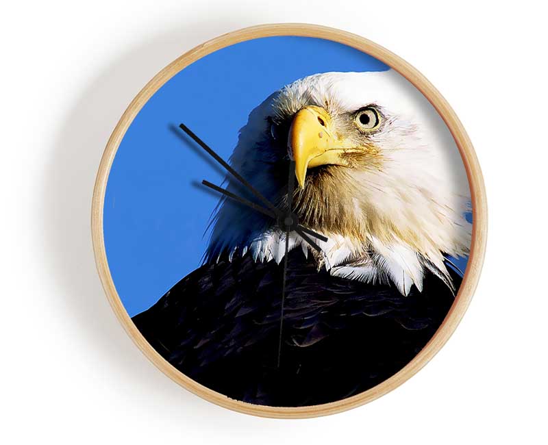 Eagle Stare Clock - Wallart-Direct UK