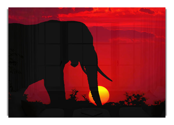 Elefant bei Sonnenuntergang