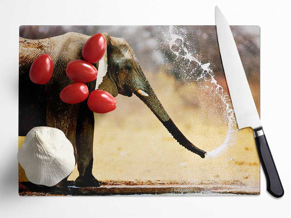 Elephant Bath Glass Chopping Board