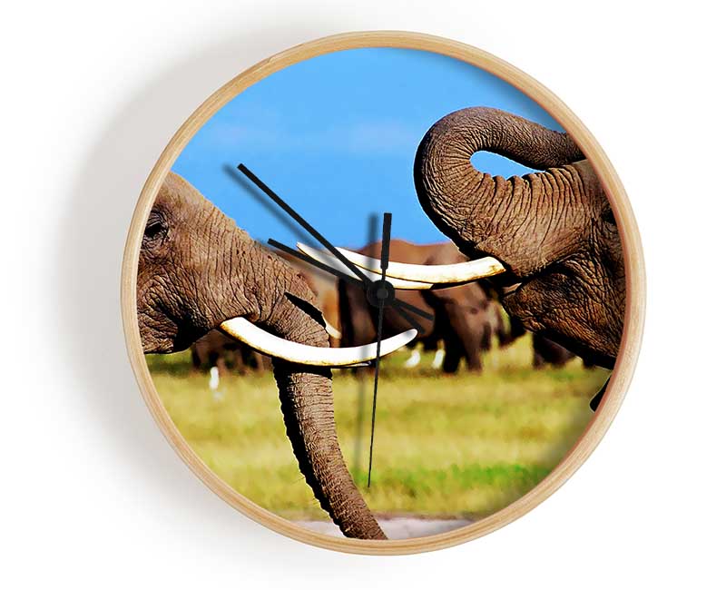 Elephant Chat Clock - Wallart-Direct UK