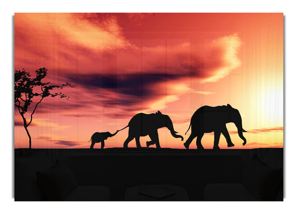 Elephant Family Sunset