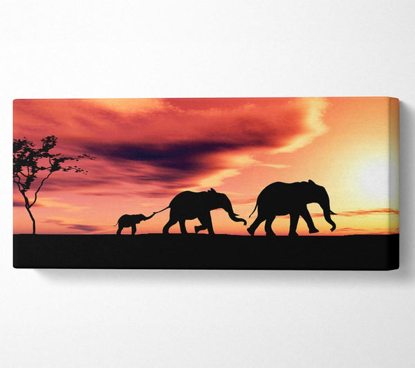 Elephant Family Sunset