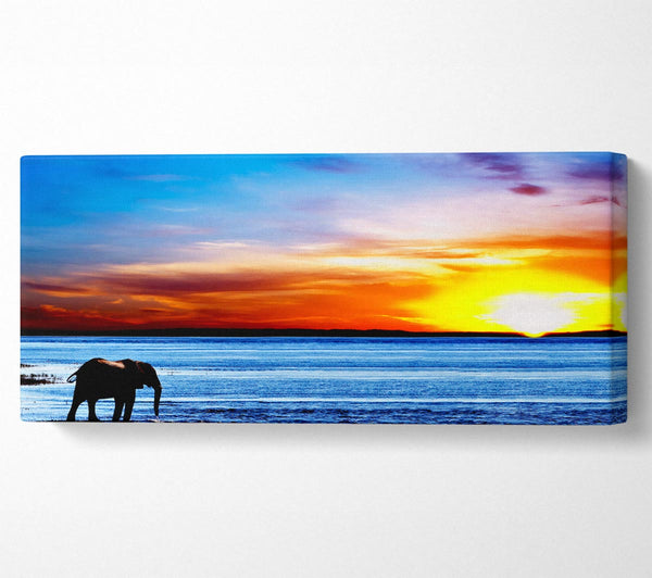 Elephant Ocean