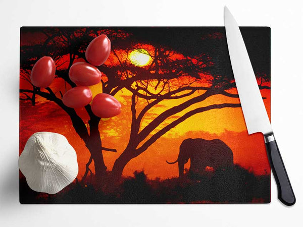 Elephant Safari Sunrise Glass Chopping Board