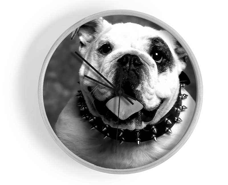 English Bulldog Clock - Wallart-Direct UK