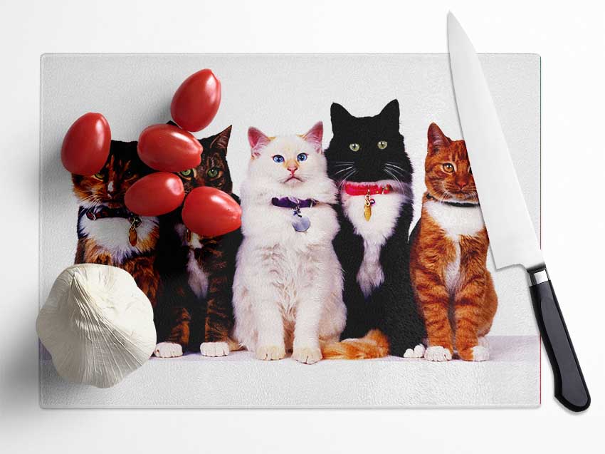 Family Of Cats Glass Chopping Board