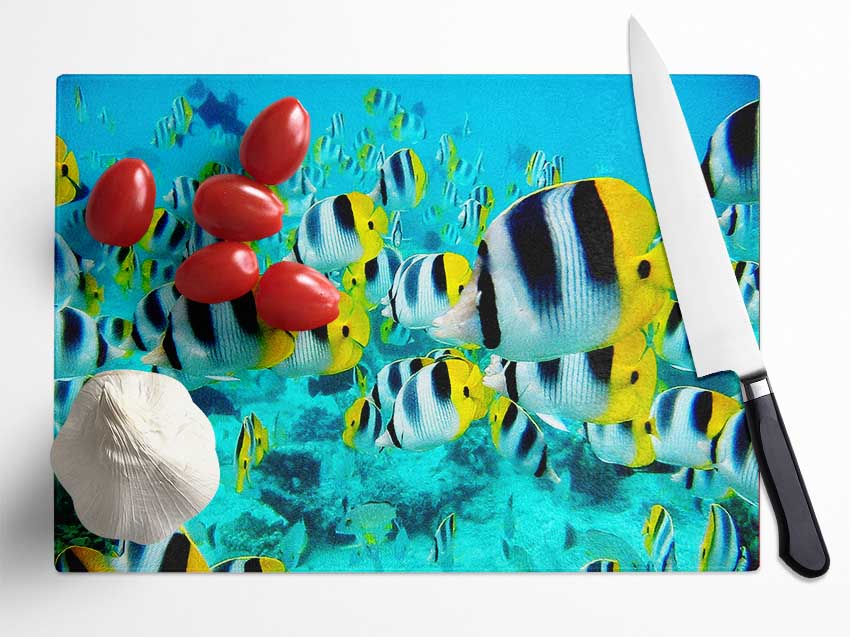 Fish Fury Glass Chopping Board