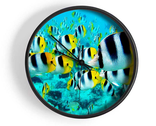 Fish Fury Clock - Wallart-Direct UK