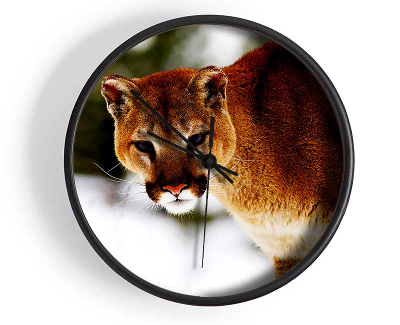 Florida Panther In The Snow Clock - Wallart-Direct UK