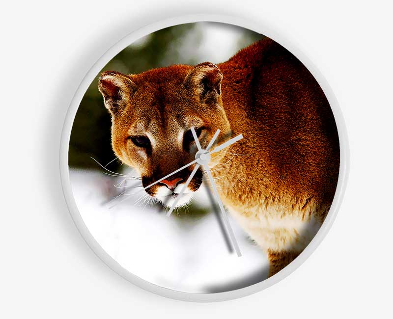 Florida Panther In The Snow Clock - Wallart-Direct UK