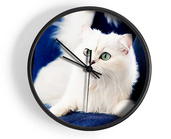 Fluffy White Kitten Clock - Wallart-Direct UK