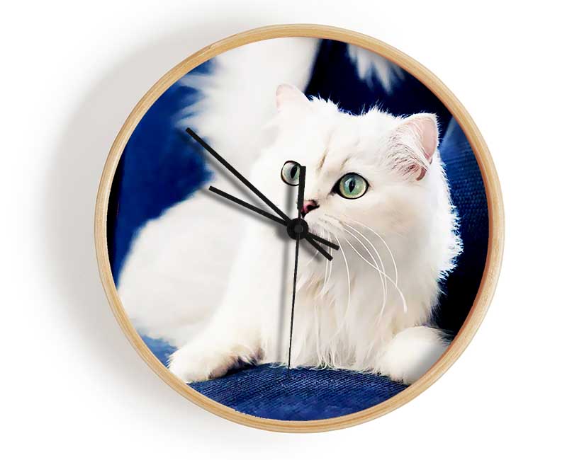 Fluffy White Kitten Clock - Wallart-Direct UK