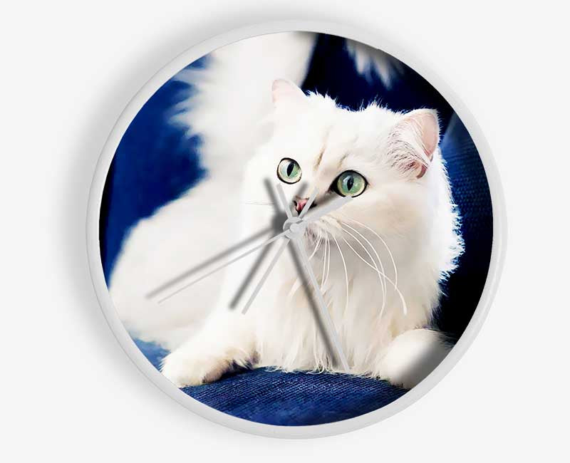 Fluffy White Kitten Clock - Wallart-Direct UK