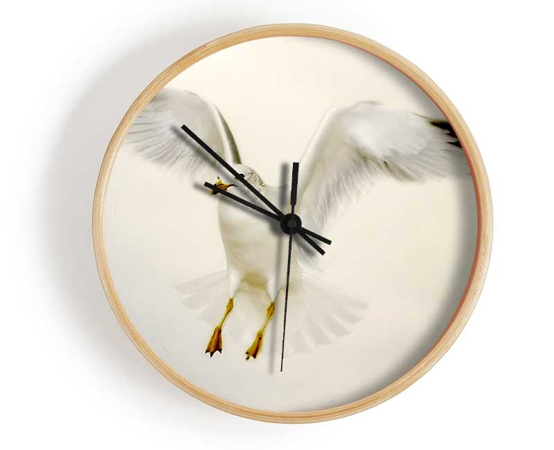 Flying Seagull Clock - Wallart-Direct UK