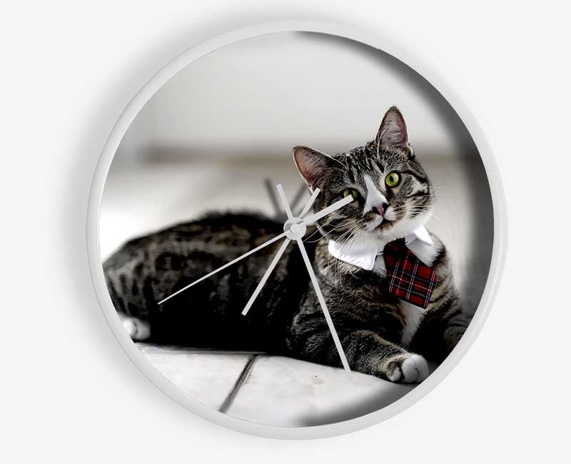 Funny Cat Wears Tie Clock - Wallart-Direct UK