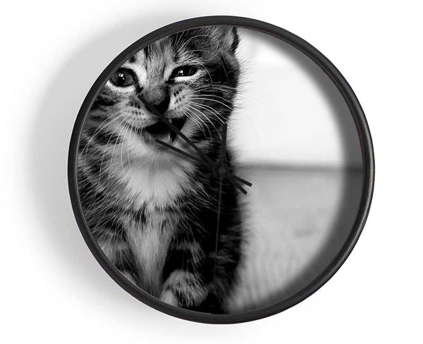 Funny Kitten Clock - Wallart-Direct UK