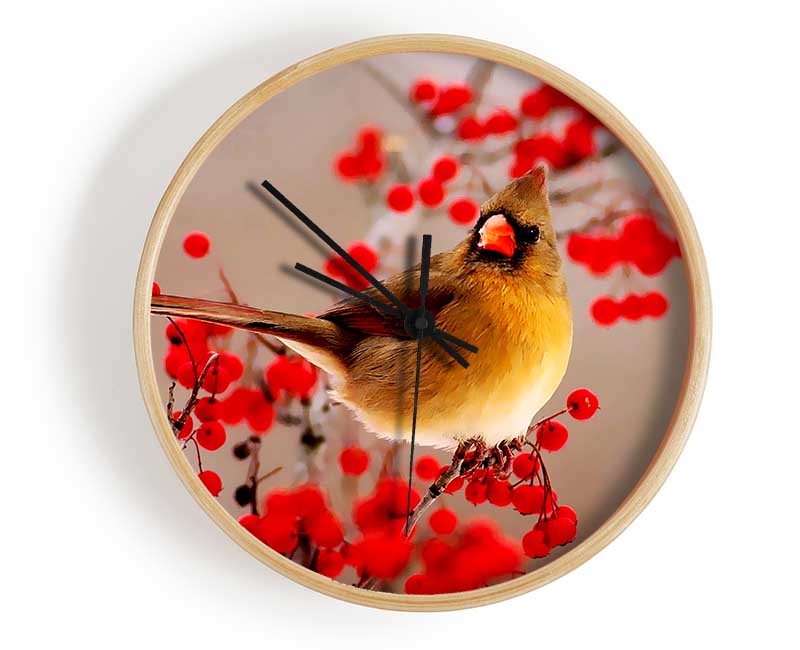 Garden Bird Clock - Wallart-Direct UK