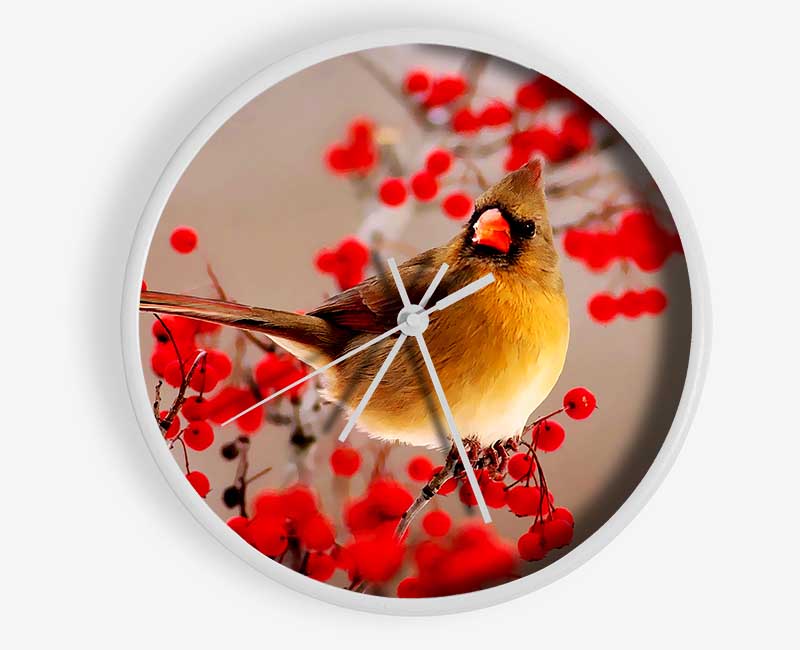 Garden Bird Clock - Wallart-Direct UK