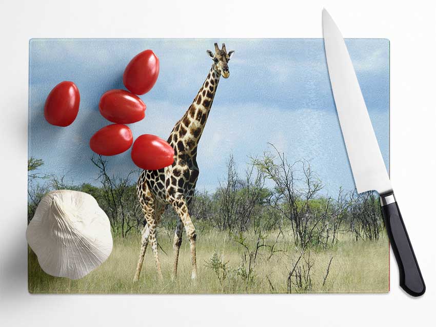 Giraffe In The Wilds Of Namibia Glass Chopping Board