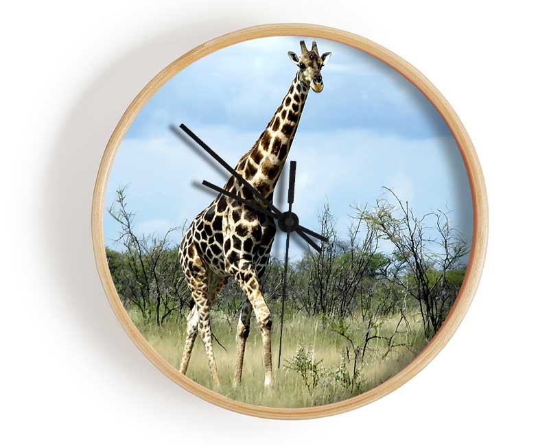 Giraffe In The Wilds Of Namibia Clock - Wallart-Direct UK