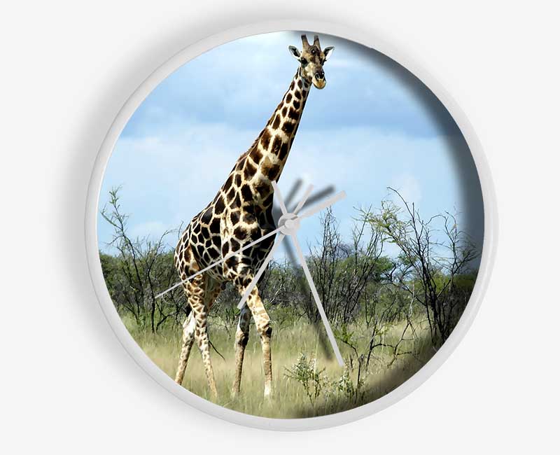 Giraffe In The Wilds Of Namibia Clock - Wallart-Direct UK