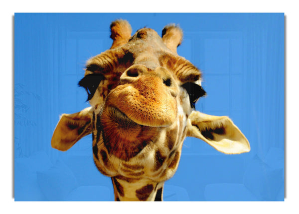 Giraffe Smile