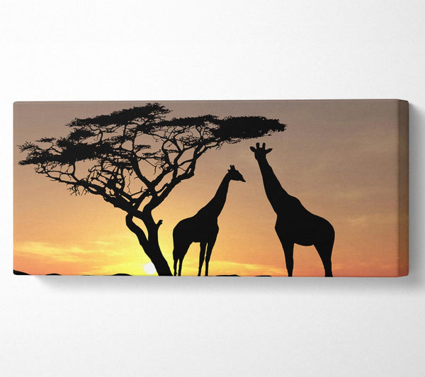 Giraffes At Sunset