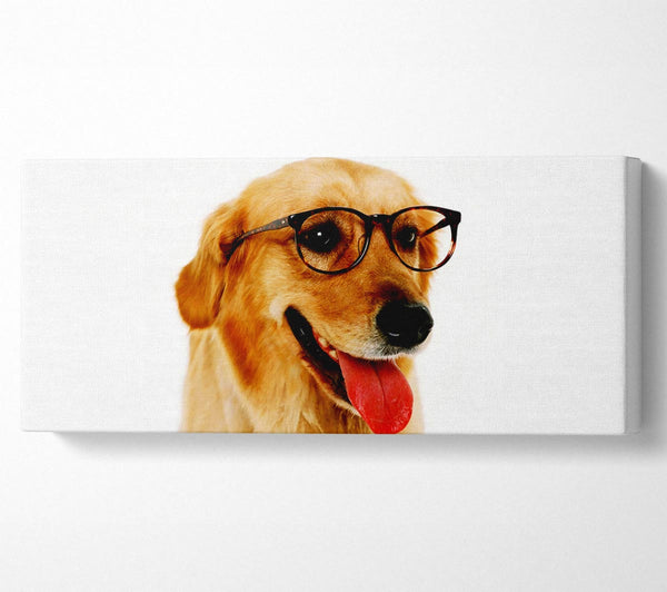 Golden Retriever Nerd