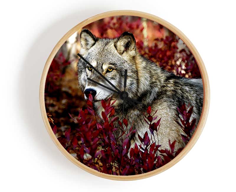 Gray Wolf Clock - Wallart-Direct UK