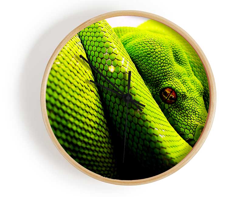 Green Snake Huddle Clock - Wallart-Direct UK