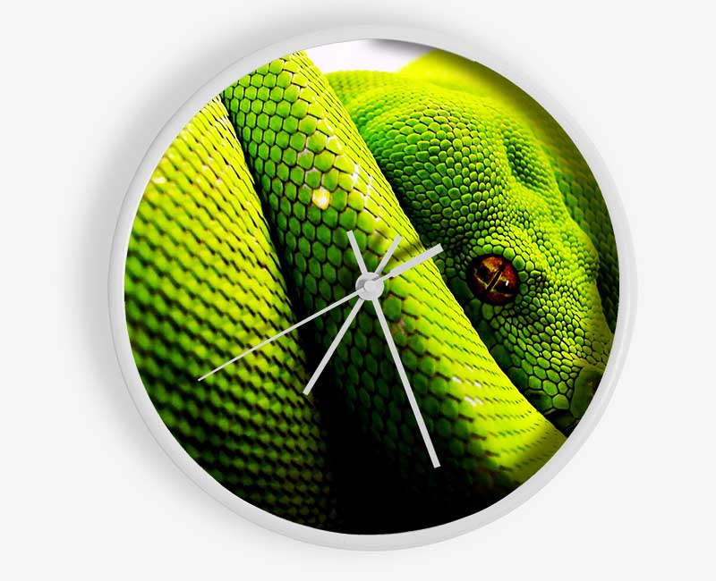 Green Snake Huddle Clock - Wallart-Direct UK