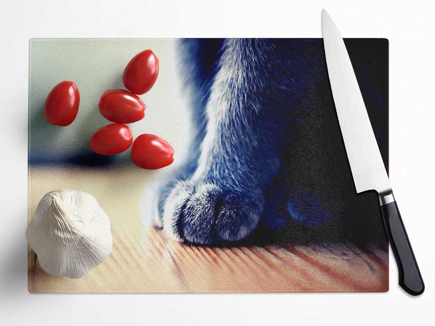 Grey Paws Glass Chopping Board