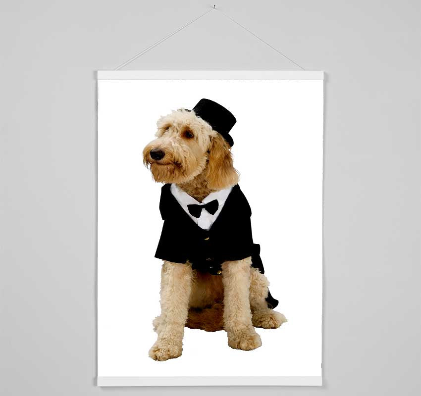 Groom Dog Hanging Poster - Wallart-Direct UK