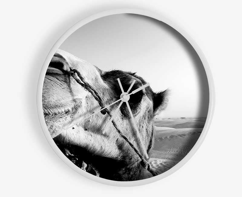 Heres Looking At You Camel Clock - Wallart-Direct UK