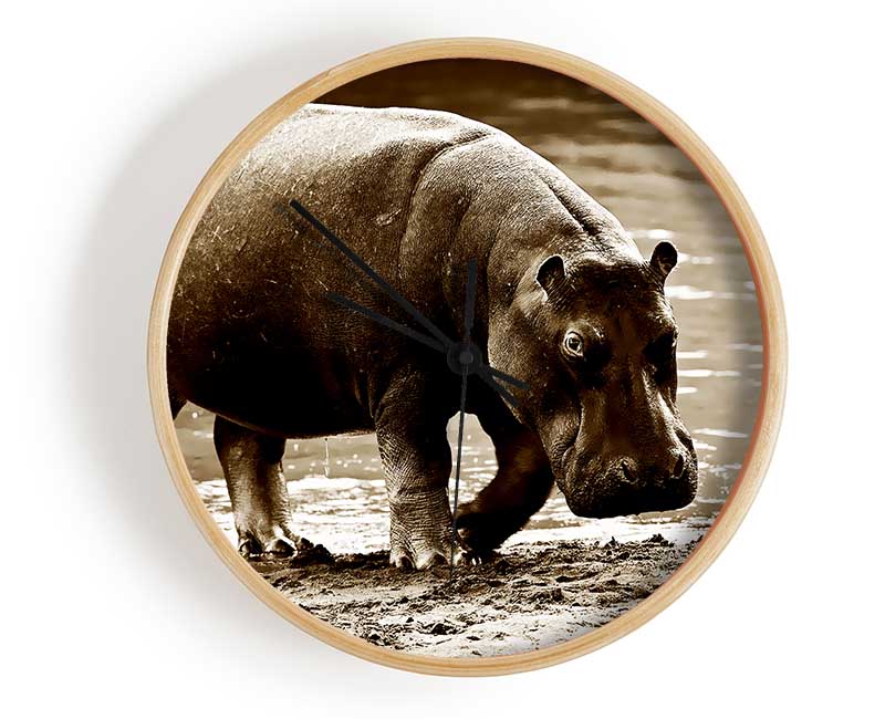 Hippopotamus Bath Clock - Wallart-Direct UK