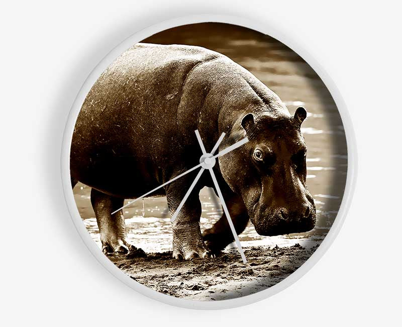 Hippopotamus Bath Clock - Wallart-Direct UK