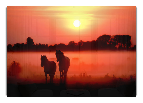 Horses At Dawn