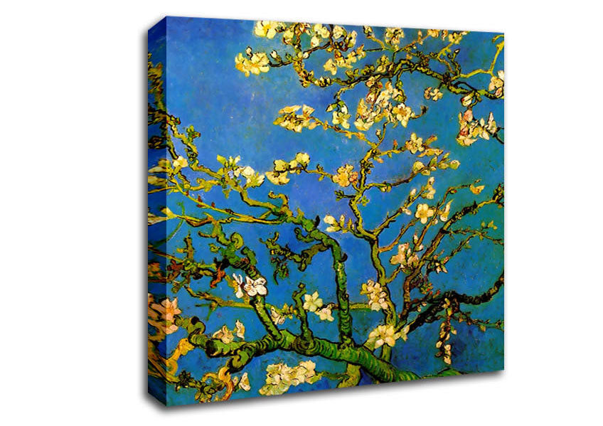 Picture of Van Gogh Blossoming Almond Tree Square Canvas Wall Art