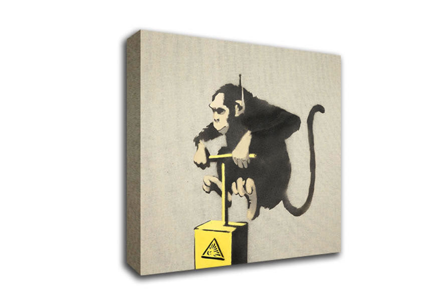 Picture of Monkey Detonator Square Canvas Wall Art