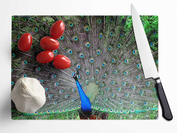 Indian Peafowl Glass Chopping Board