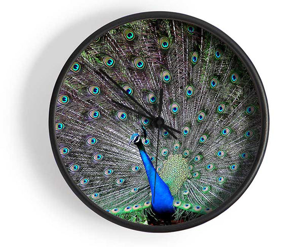 Indian Peafowl Clock - Wallart-Direct UK