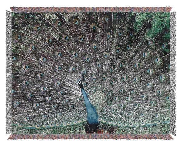 Indian Peafowl Woven Blanket