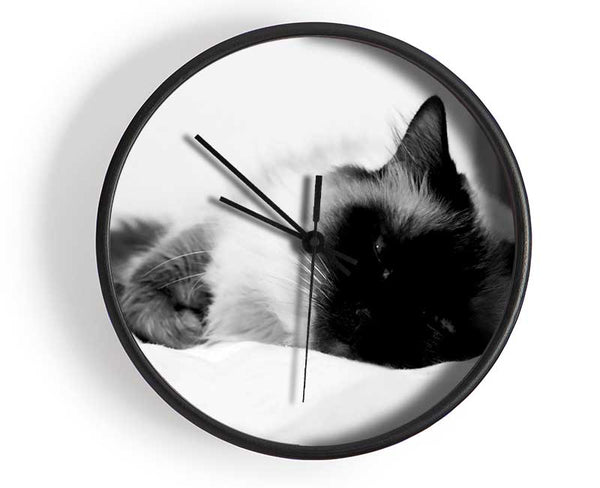 Its A Cats Life B n W Clock - Wallart-Direct UK