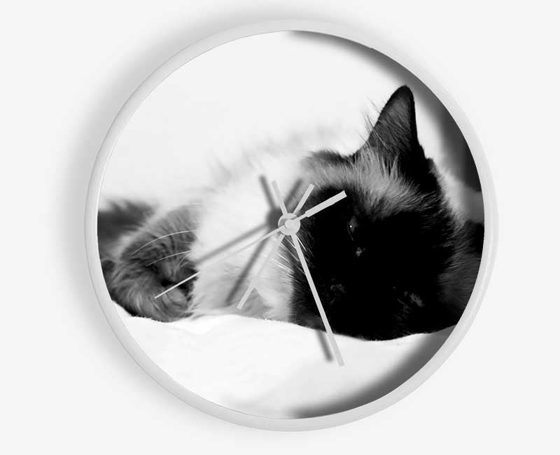 Its A Cats Life B n W Clock - Wallart-Direct UK