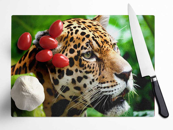 Jaguar The Big Cat Glass Chopping Board