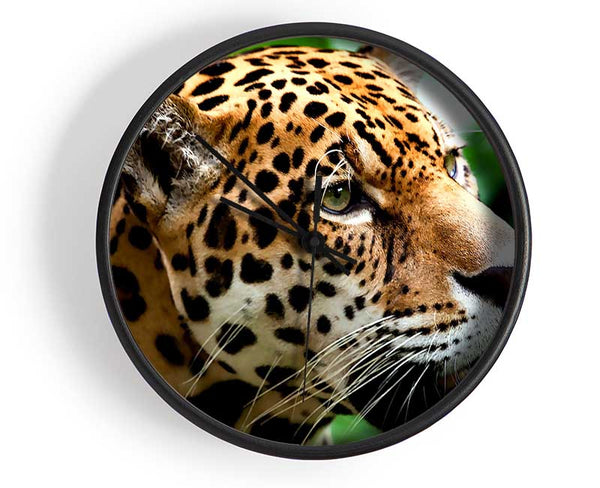 Jaguar The Big Cat Clock - Wallart-Direct UK