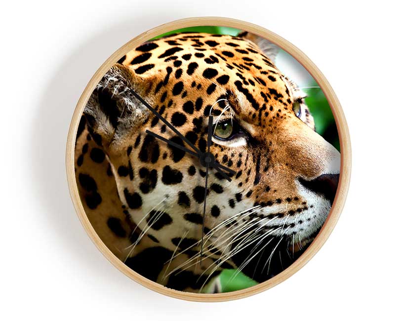 Jaguar The Big Cat Clock - Wallart-Direct UK