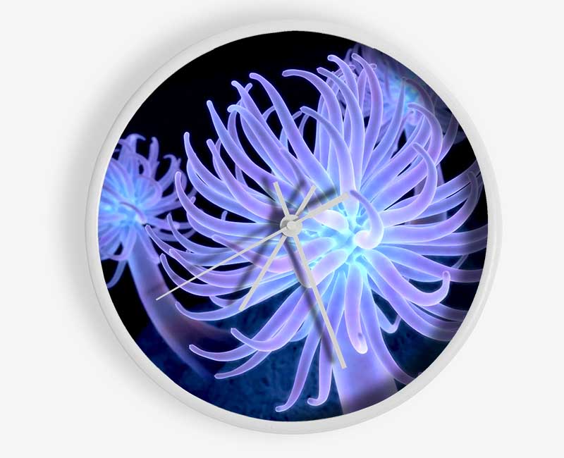 Jellyfish Looks Clock - Wallart-Direct UK