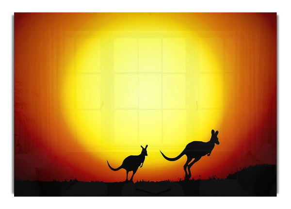 Kangaroo'S By Sunlight