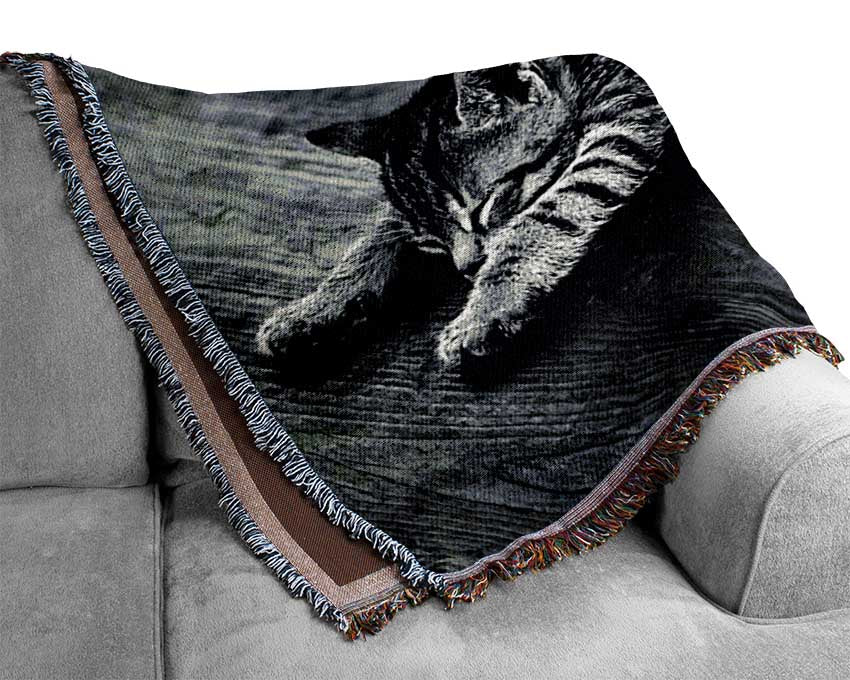 Kitten Dream Woven Blanket